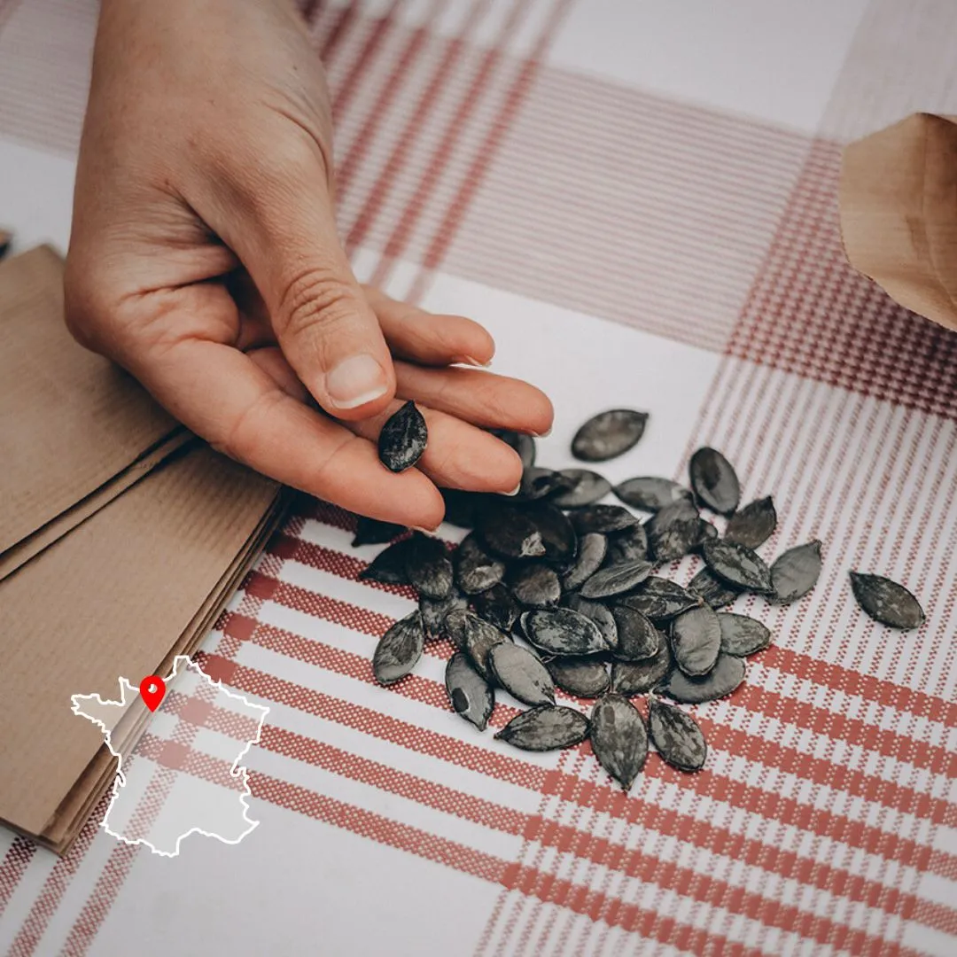 Photo d'une personne qui a des semences potagères dans la main issue de la production artisanale.