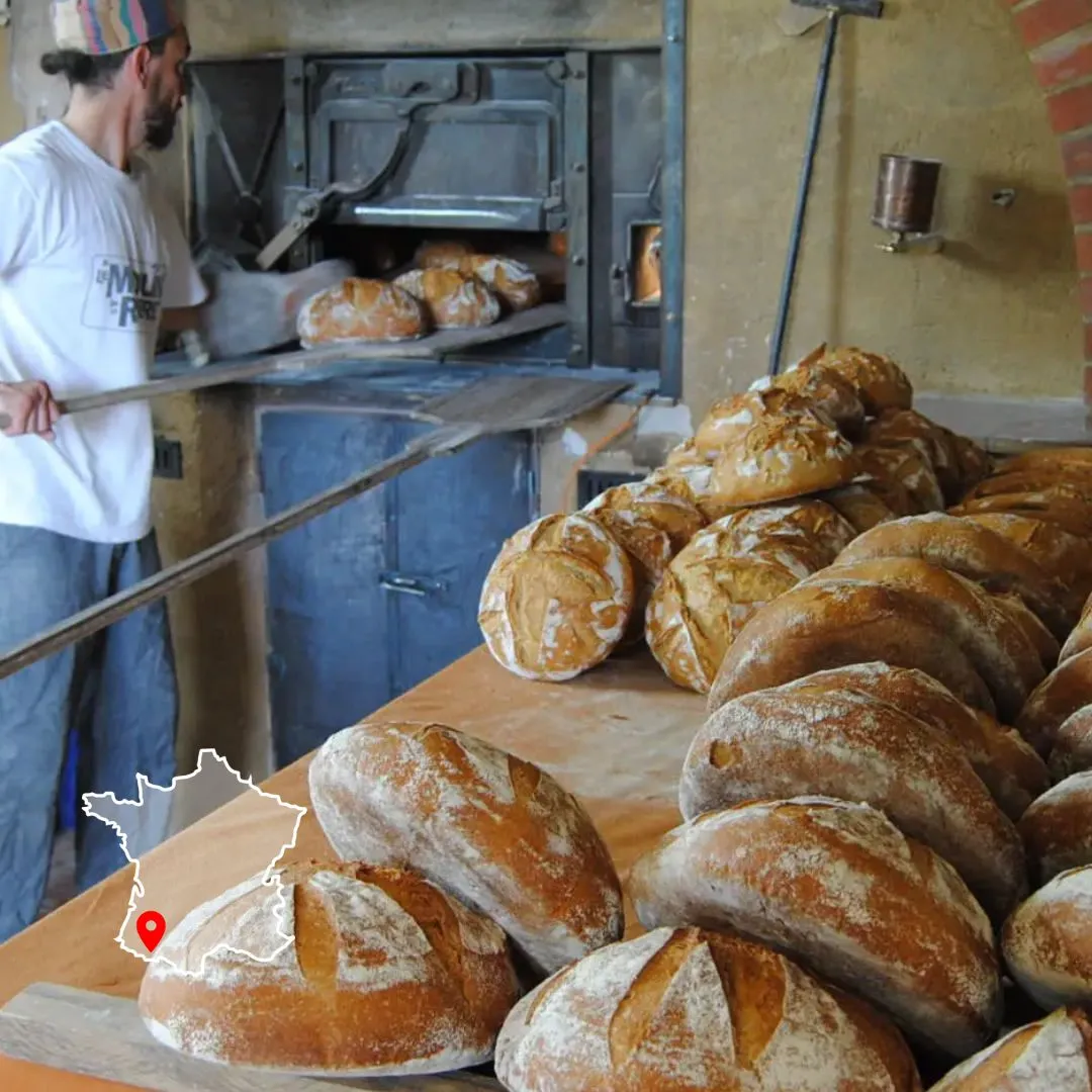 Photo d'un fournil et d'un four à pain qui illustre la formation de Permaterra, faire du pain au levain et concevoir son fournil.