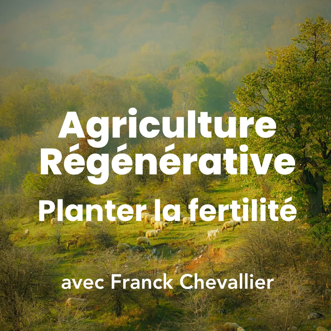 Image mettant la formation keyline design & agriculture régénérative : planter le fertilité.