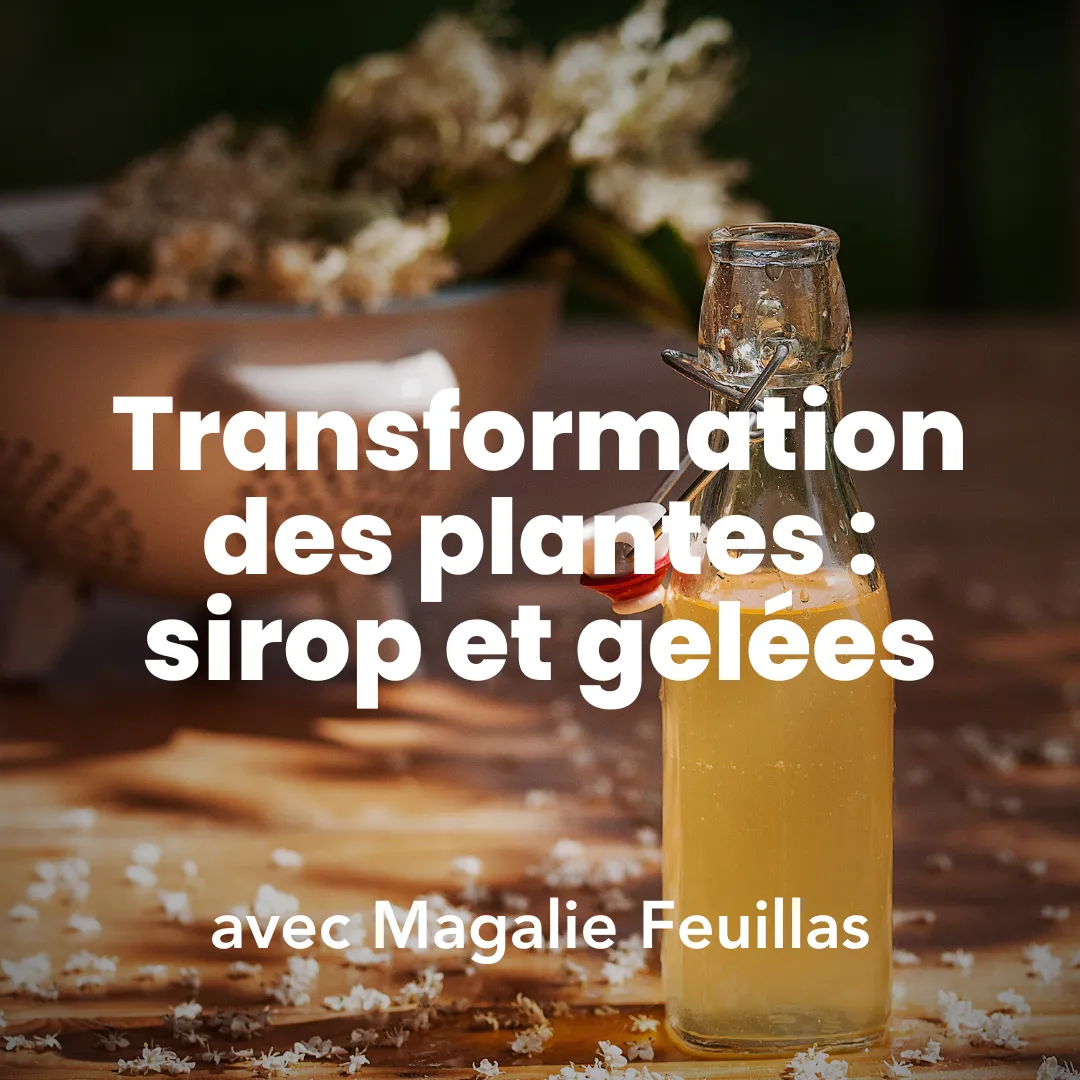 Photo d'un sirop fait à partir de plantes durant la formation transformation des plantes en sirops et gelées à Permaterra.