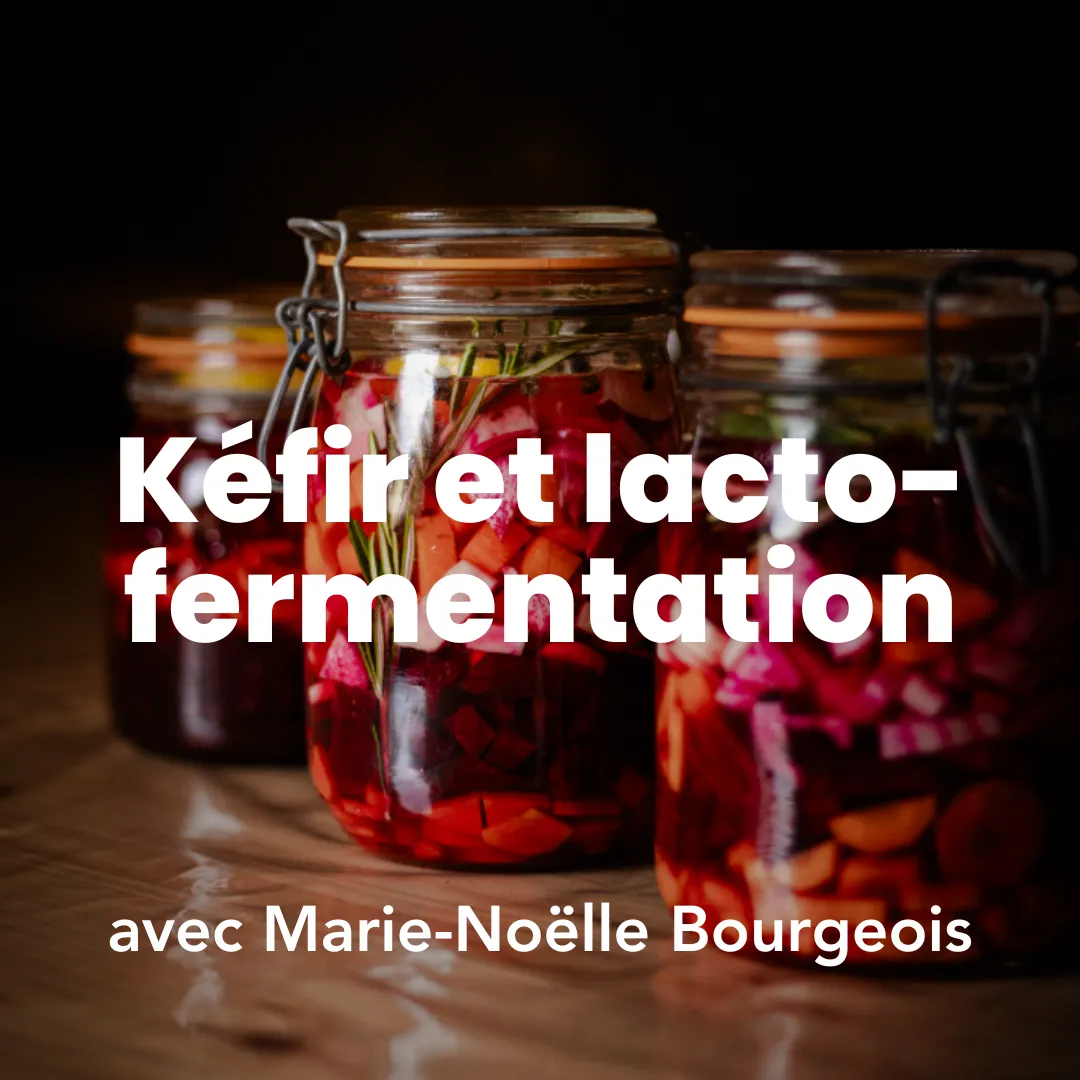Photo d’aliments lacto-fermentés dans un bocal, lors d’une formation en transformation de fruits et légumes : kéfir et lacto-fermentation. Photo de Myriam Boye.