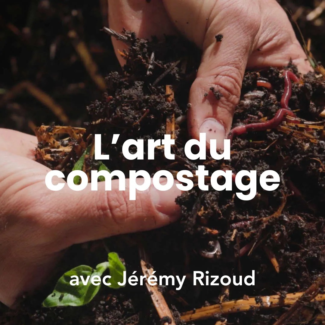 Photo de mains dans le compost pour illustrer la formation l'art du compostage.