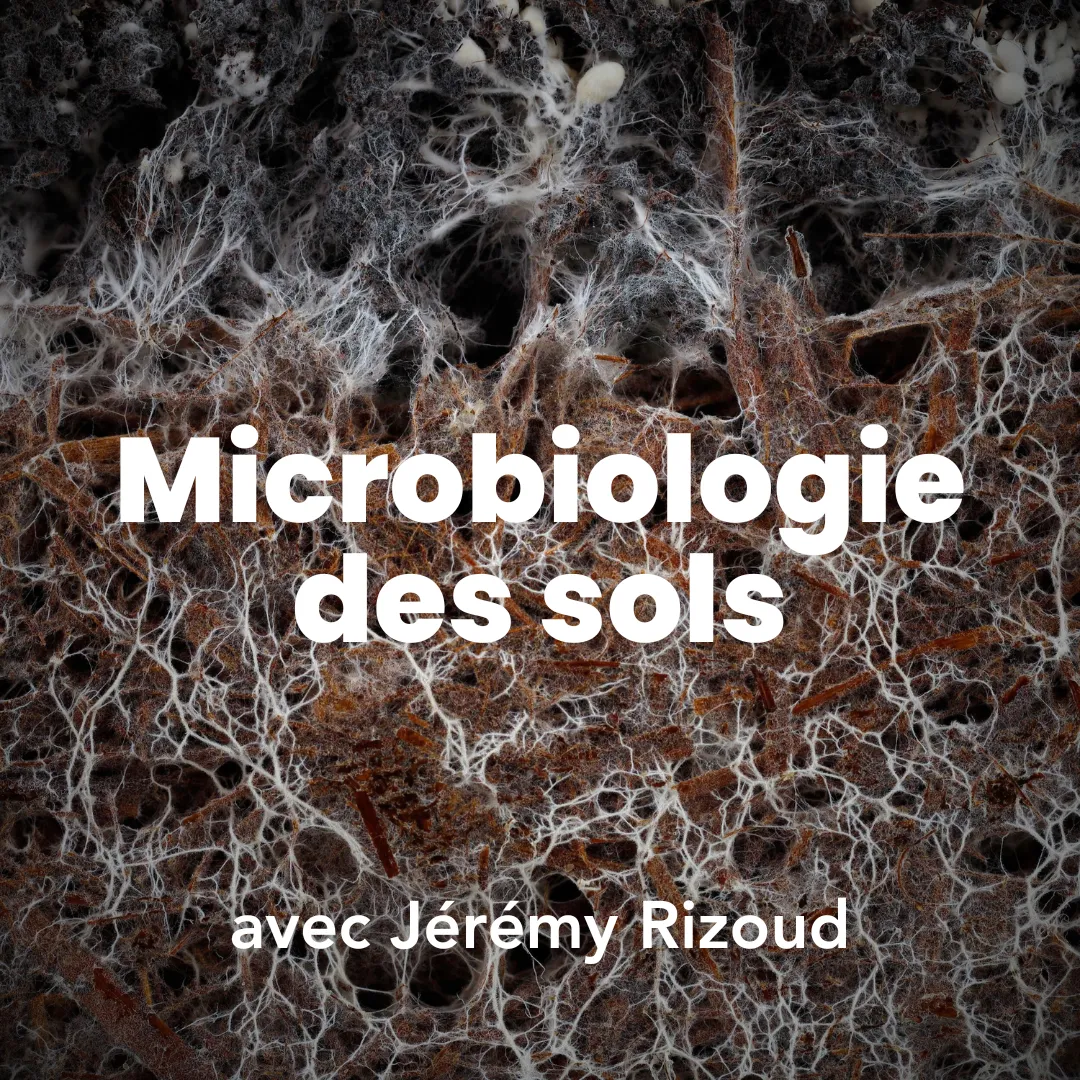 Image représentant la formation microbiologie des sols : Piloter la fertilité des sols et la protection des cultures grâce aux micro-organismes.