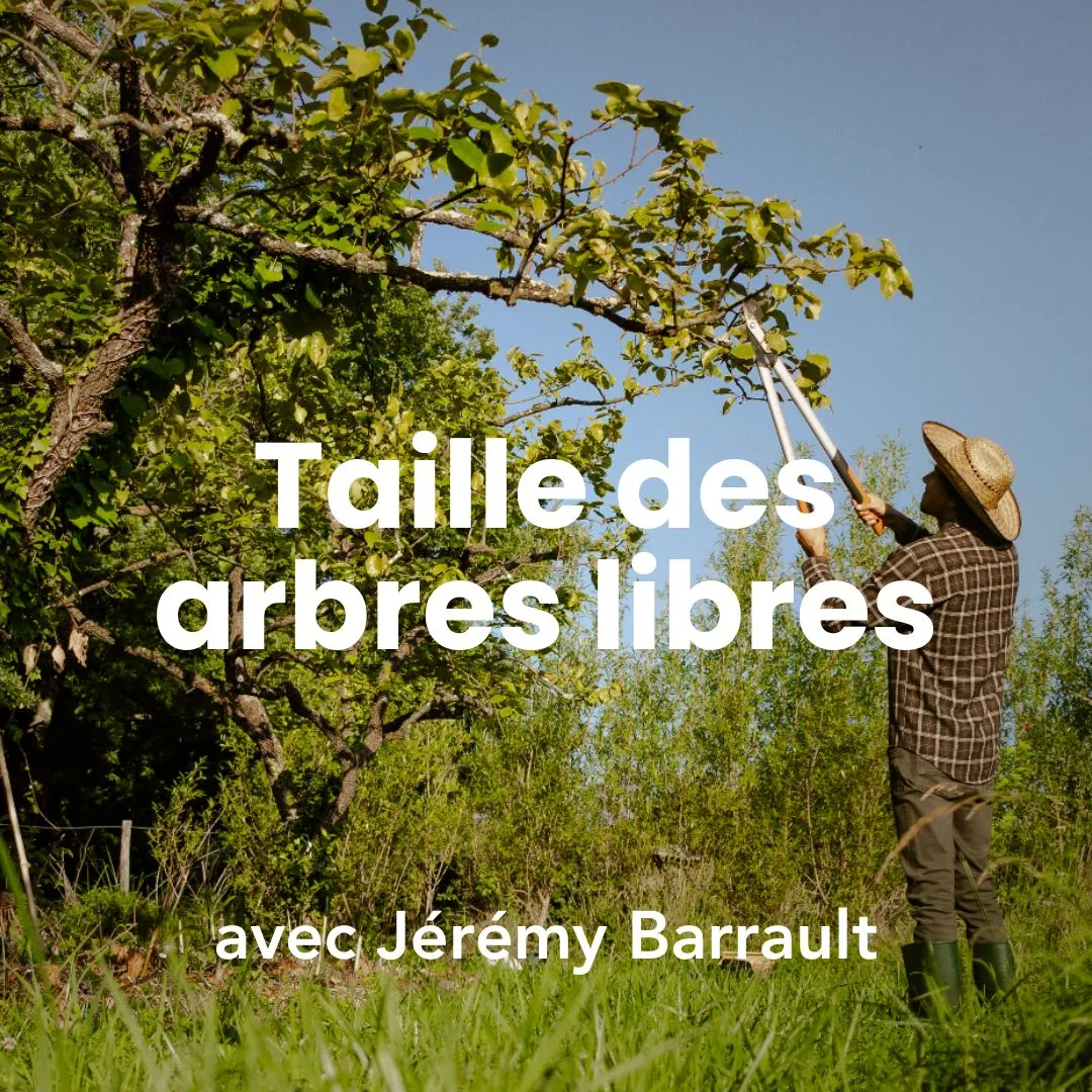 Jérémy Barrault, formateur chez Permaterra, anime la formation taille des arbres libres. Photo de Myriam Boye.