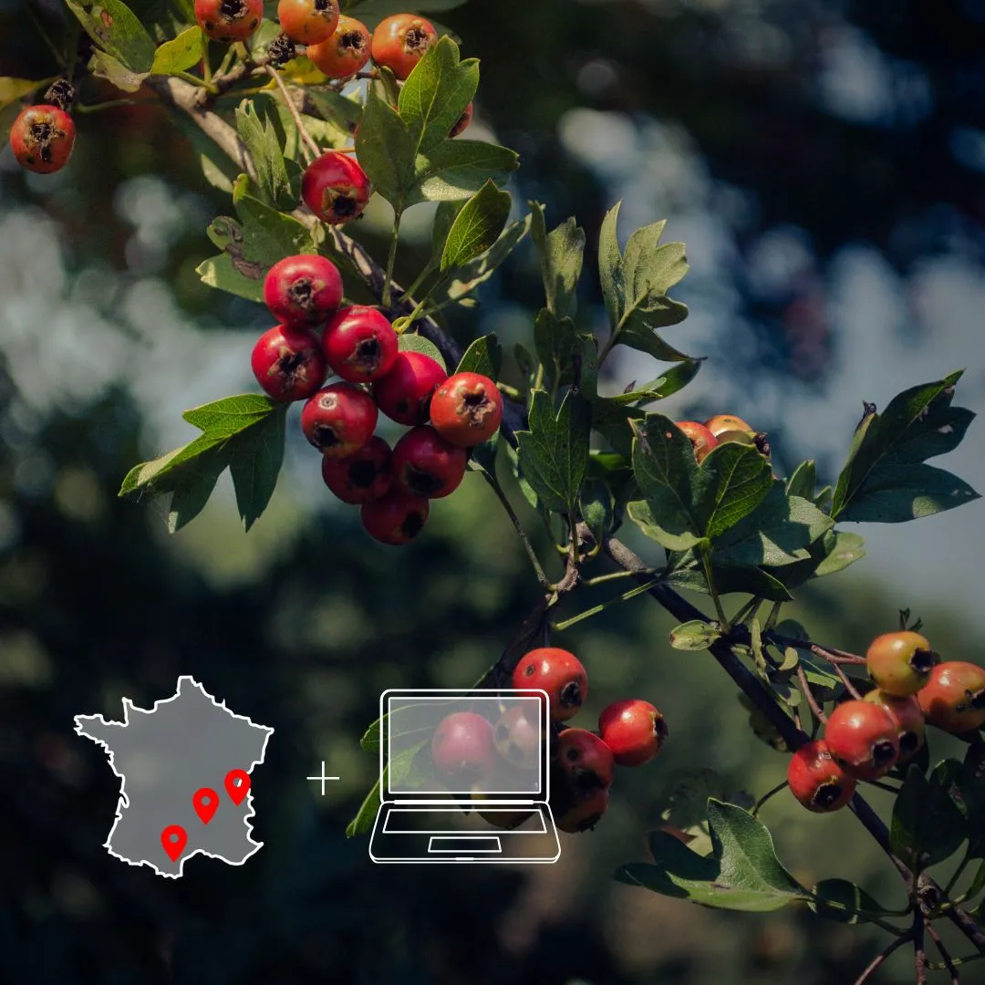 Image mettant en avant la formation agroforesterie académie avec multi-intervenants. 