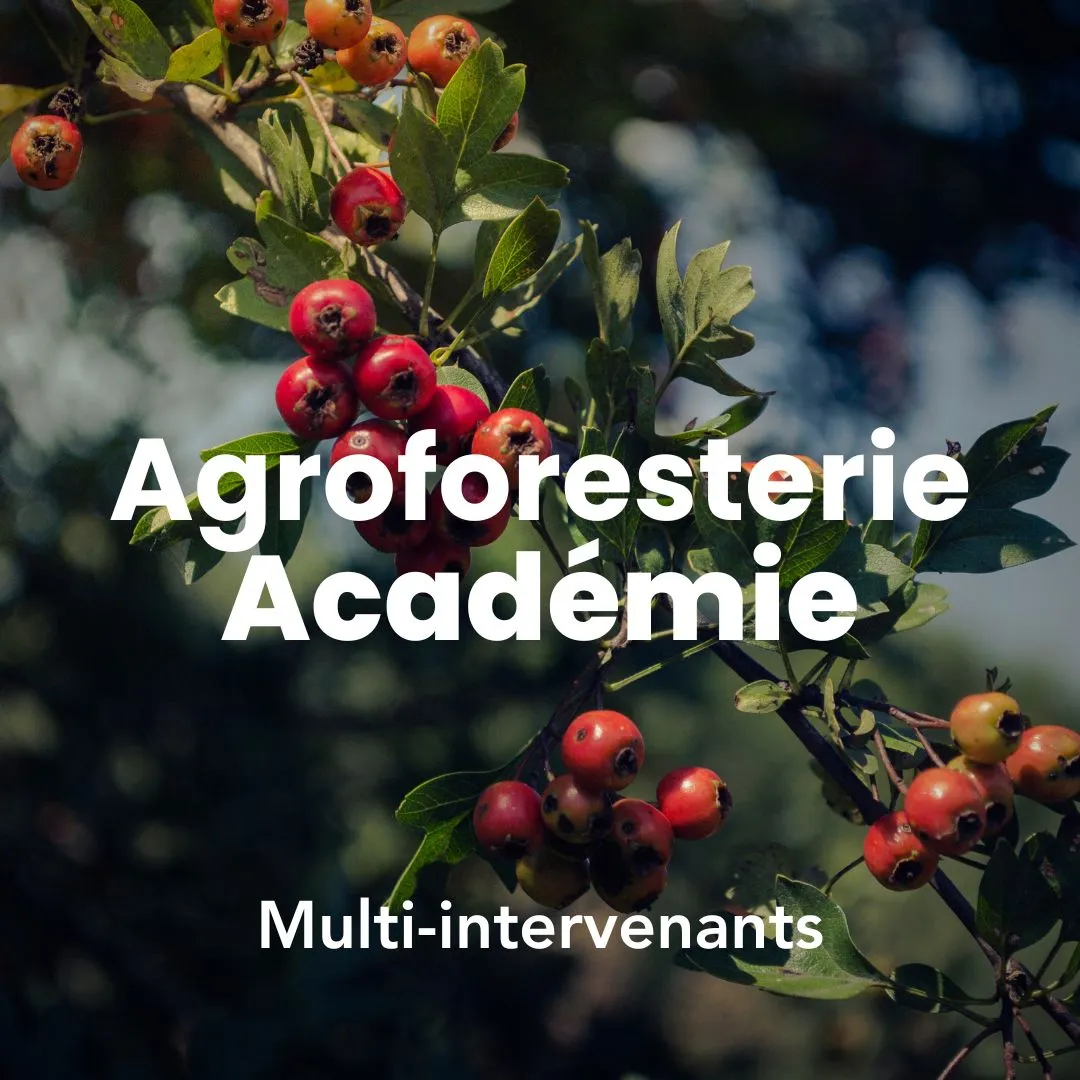 Image mettant en avant la formation agroforesterie académie avec multi-intervenants. 