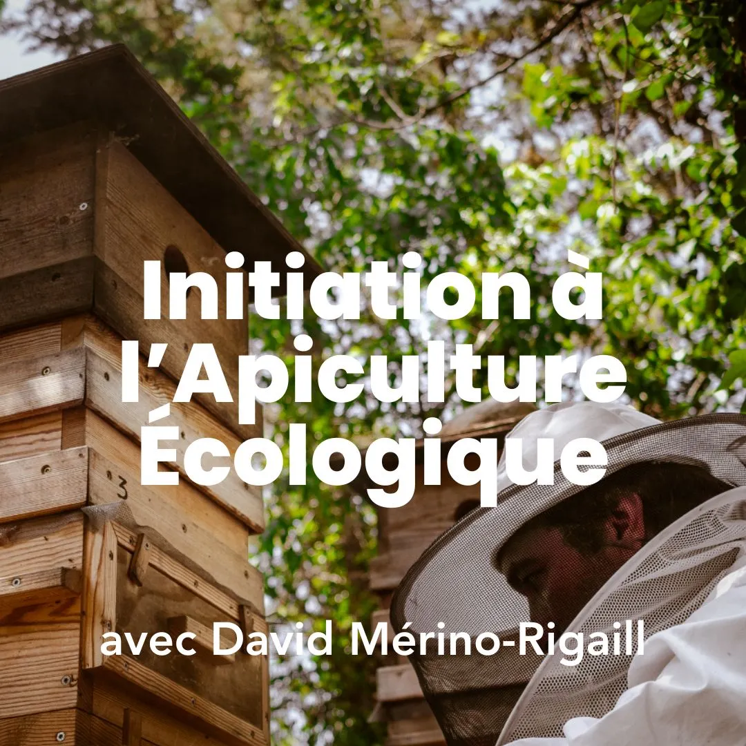Formation initiation à l'apiculture écologique avec David Mérino-Rigaill chez Permaterra. Photo de Myriam Boye.