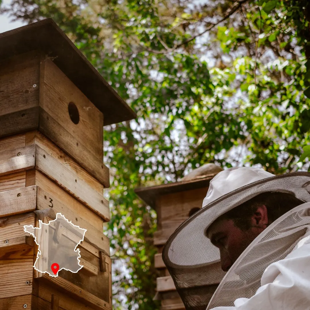 Formation initiation à l'apiculture écologique avec David Mérino-Rigaill chez Permaterra. Photo de Myriam Boye.