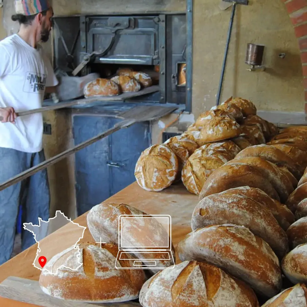 Photo d'un fournil et d'un four à pain qui illustre la formation de Permaterra, faire du pain au levain et concevoir son fournil.