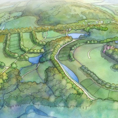 Illustration aquarelle en vue aérienne d'un paysage bocager avec rivières sinueuses, haies et parcelles végétalisées, représentant un projet de design paysager régénératif.