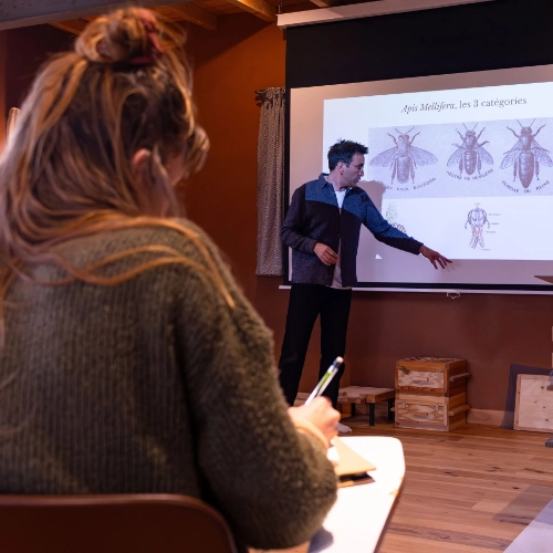 Formateur en apiculture présentant devant un écran de projection les catégories d'Apis Mellifera à une participante prenant des notes, lors d'une session de formation en salle.