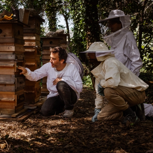 Deux apiculteurs en combinaison blanche accroupis devant des ruches en bois empilées en forêt, examinant une colonie lors d'une inspection de rucher écologique.