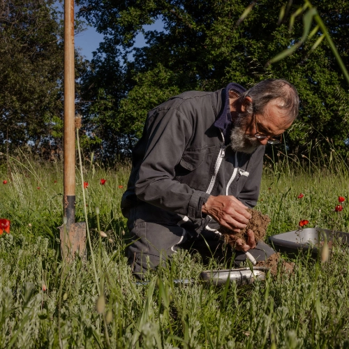 Expert formateur agenouillé dans une prairie fleurie de coquelicots, prélevant un échantillon de sol avec un outil de mesure, illustrant le diagnostic et l'analyse de sol sur le terrain.