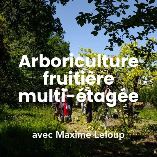 Photo mettant en avant la conception et conduite d’arboriculture fruitière multi-étagée et vergers agroforestiers. Photographe Myriam Boye.