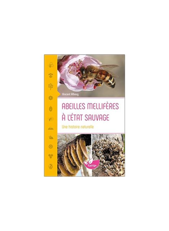 Couverture Abeilles mellifères à l’état sauvage Vincent Albouy