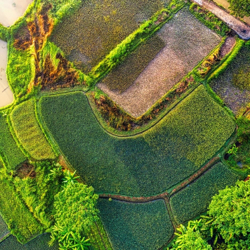 Paysage agricole avec du keyline design pour la gestion de l'eau et l'hydrologie régénérative.