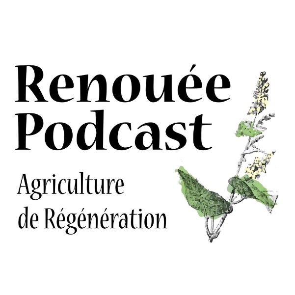 Logo du podcast Renouée de Lennan Bates disponible à l'écoute sur de nombreuses plateformes, Apple podcast, spotify, amazon music, podbean, youtube.