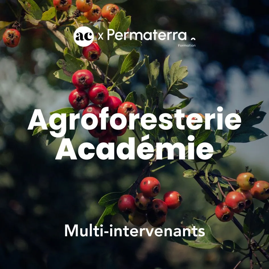 Image mettant en avant la formation agroforesterie académie avec multi-intervenants. 