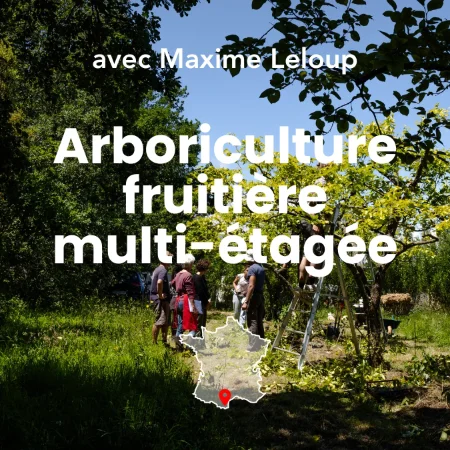 Photo mettant en avant la conception et conduite d’arboriculture fruitière multi-étagée et vergers agroforestiers. Photographe Myriam Boye.
