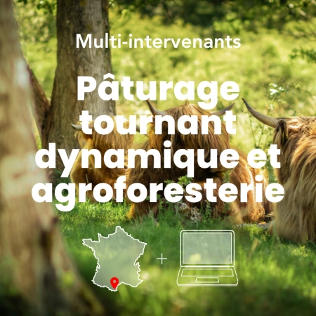 Image mettant en avant la formation pâturage tournant dynamique et agroforesterie à Permaterra formation.