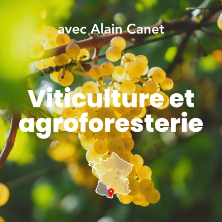 Photo d'une grappe de raisin dans un vignoble avec le titre de la formation Viticulture et agroforesterie.