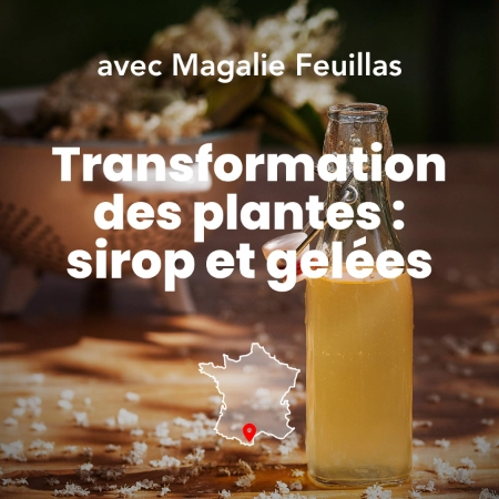 Photo d'un sirop fait à partir de plantes durant la formation transformation des plantes en sirops et gelées à Permaterra.