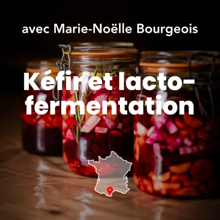 Photo d’aliments lacto-fermentés dans un bocal, lors d’une formation en transformation de fruits et légumes : kéfir et lacto-fermentation. Photo de Myriam Boye.