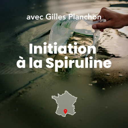 Photo du bassin de spiruline de Permaterra, d'une culture de spiruline. Photo de Myriam Boye.