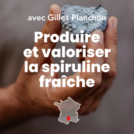 Image de la spiruline transformée sous forme de fromage dans les mains du formateur Gilles Planchon. Photo de Myriam Boye.