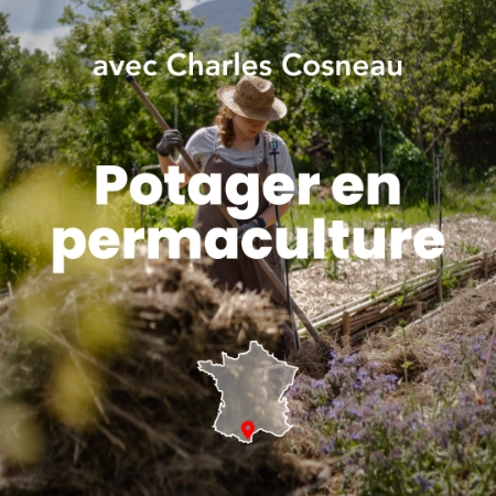 Photo mettant en avant un potager en permaculture, une personne avec un chapeau de paille s'occupe d'un potager. Photo de Myriam Boye.