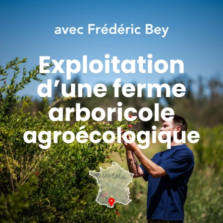 Une photo de Frédéric Bey dans sa ferme arboricole agroécologique le domaine de la mer blanche à Argelès sur mer.