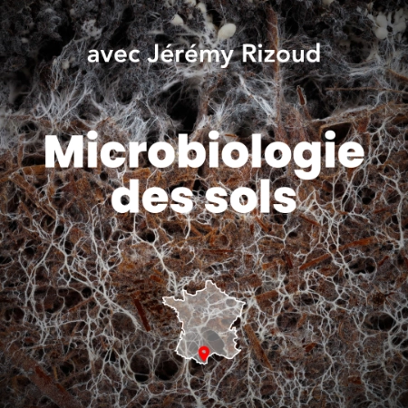 Image représentant la formation microbiologie des sols : Piloter la fertilité des sols et la protection des cultures grâce aux micro-organismes.