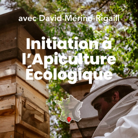 Formation initiation à l'apiculture écologique avec David Mérino-Rigaill chez Permaterra. Photo de Myriam Boye.