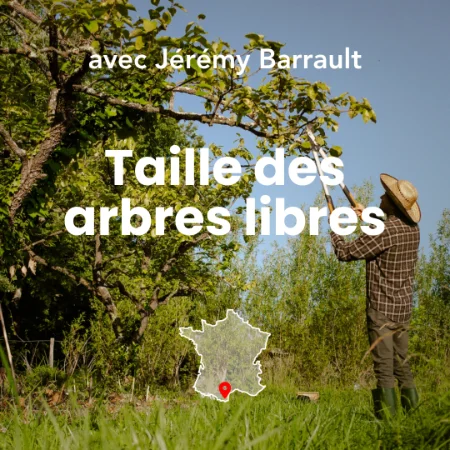 Jérémy Barrault, formateur chez Permaterra, anime la formation taille des arbres libres. Photo de Myriam Boye.