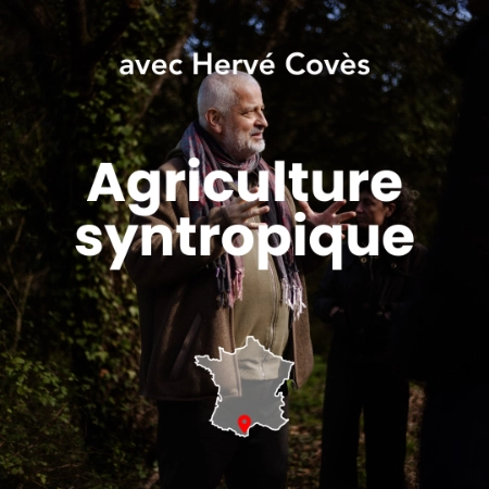 C’est une photo du formateur Hervé Coves, en train d’animer la formation en agriculture syntropique à Permaterra à Céret. Photo de Myriam Boye.
