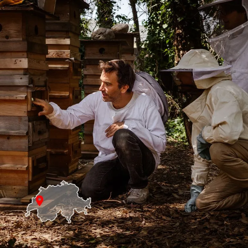 Formation initiation à l'apiculture écologique avec David Mérino-Rigaill en Suisse à Vaulruz. Photo de Myriam Boye.