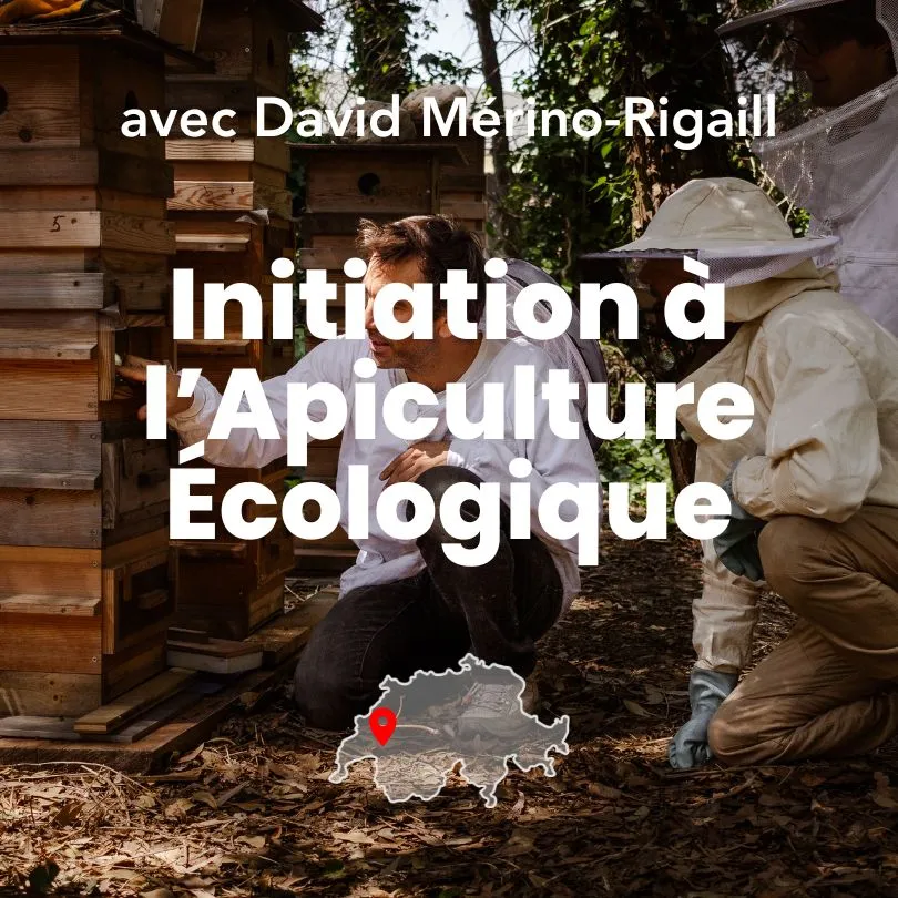 Formation initiation à l'apiculture écologique avec David Mérino-Rigaill en Suisse à Vaulruz. Photo de Myriam Boye.