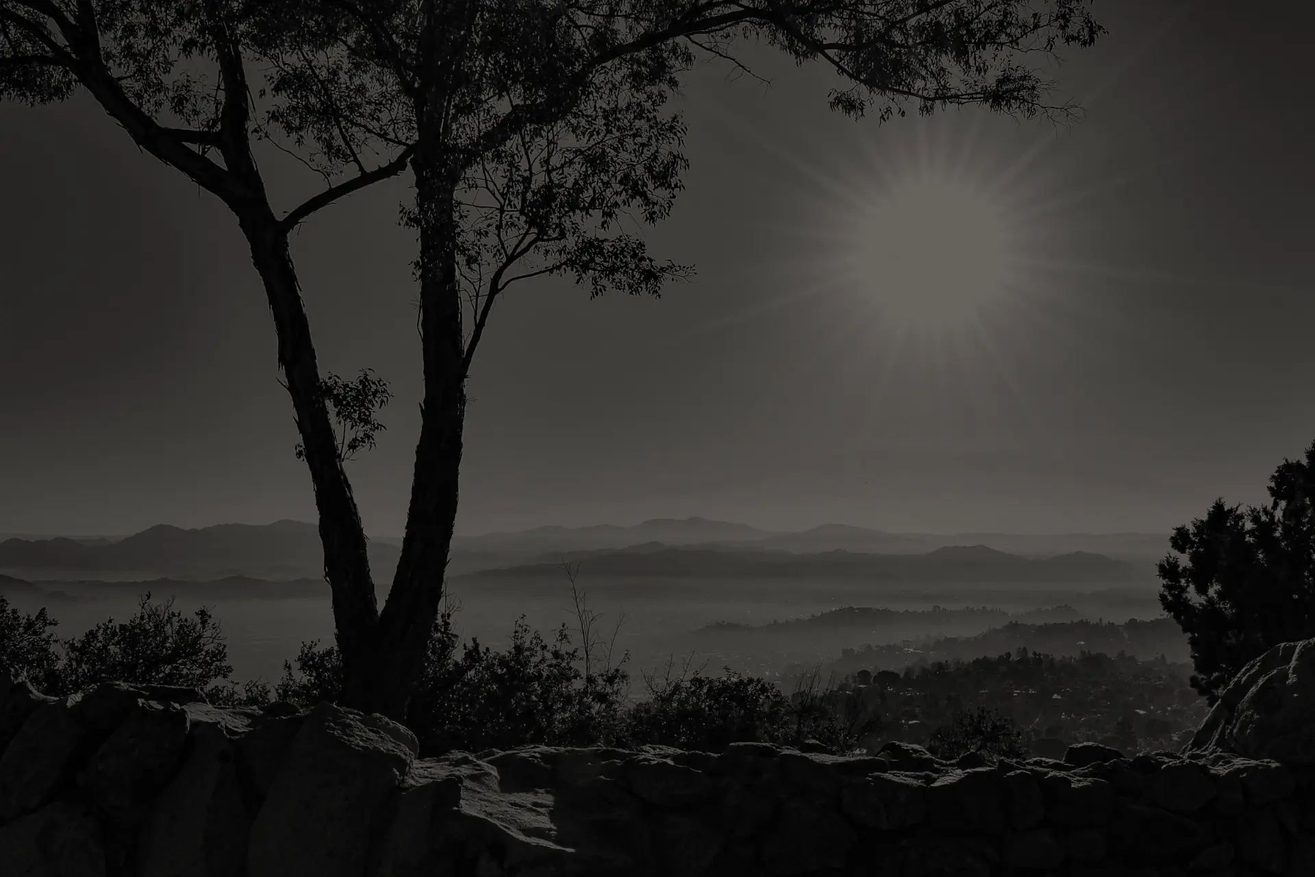 View east from Mount Helix in La Mesa with a eucalyptus tree, a low stone wall, and the sun rising over hazy hills.