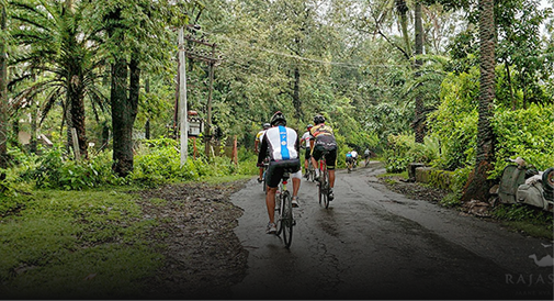 Experience the majesty of the jungle while trekking in Kumbhalgarh Wildlife Sanctuary