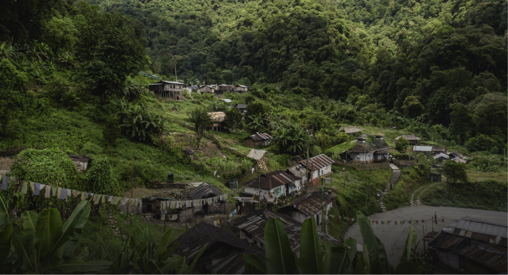 Hike to the double-decker root bridges and cool off in jungle waterfalls in the forests of Meghalaya