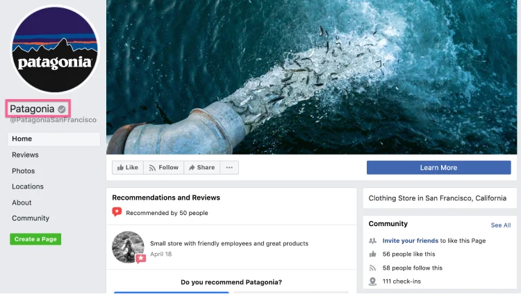 Patagonia gray badge