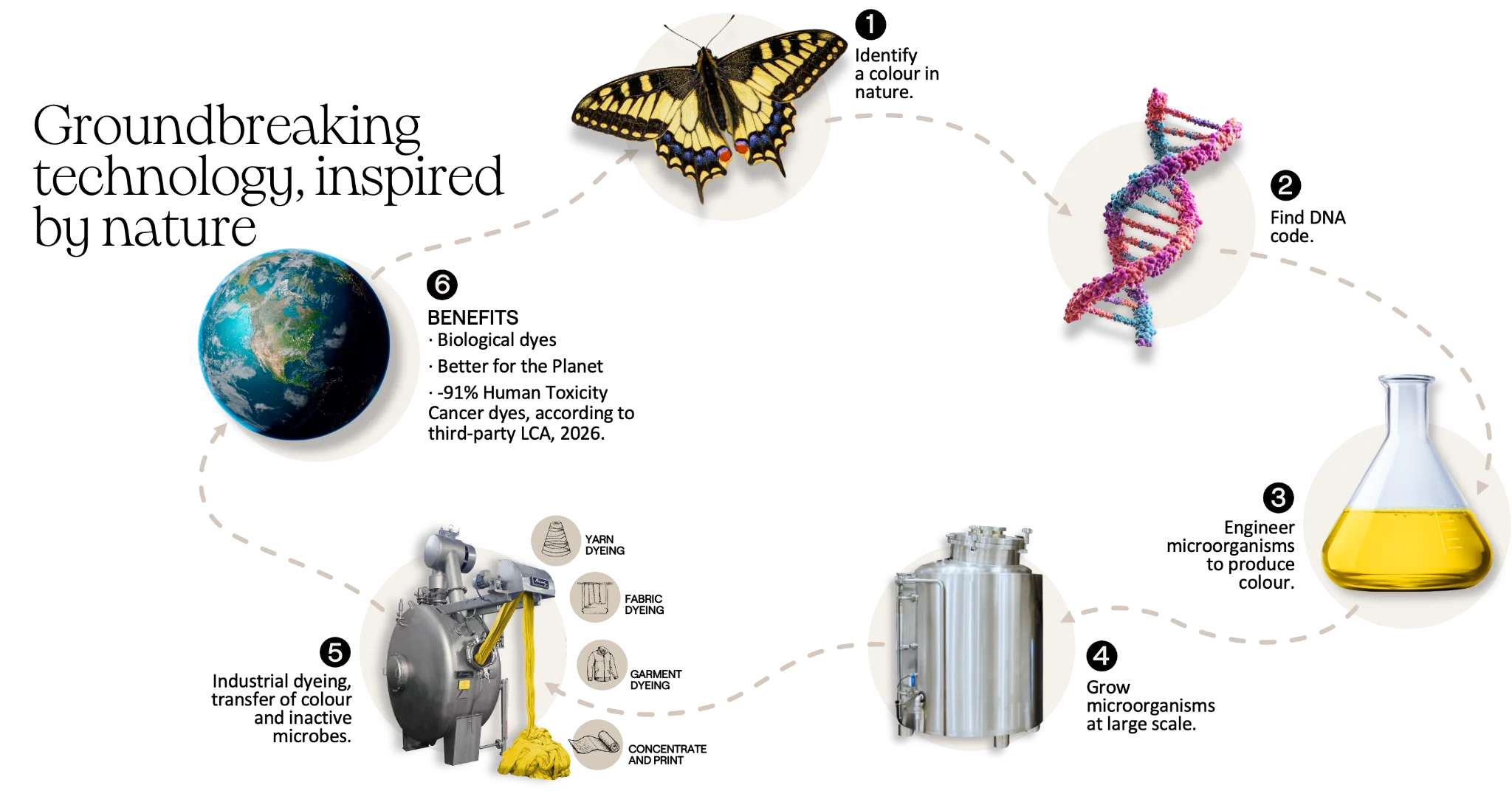 Illustration of a circular process showing six steps: 1) a yellow and black butterfly, 2) a colorful DNA helix, 3) a laboratory flask filled with yellow liquid, 4) a large industrial stainless steel tank, 5) an industrial machine with yellow fiber or yarn coming out, and 6) the Earth, representing a cycle possibly related to biology, science, or manufacturing.