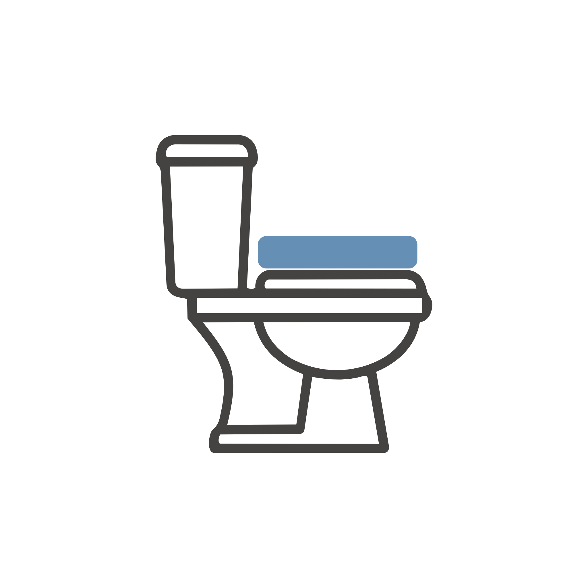 Toilet Seat Raiser