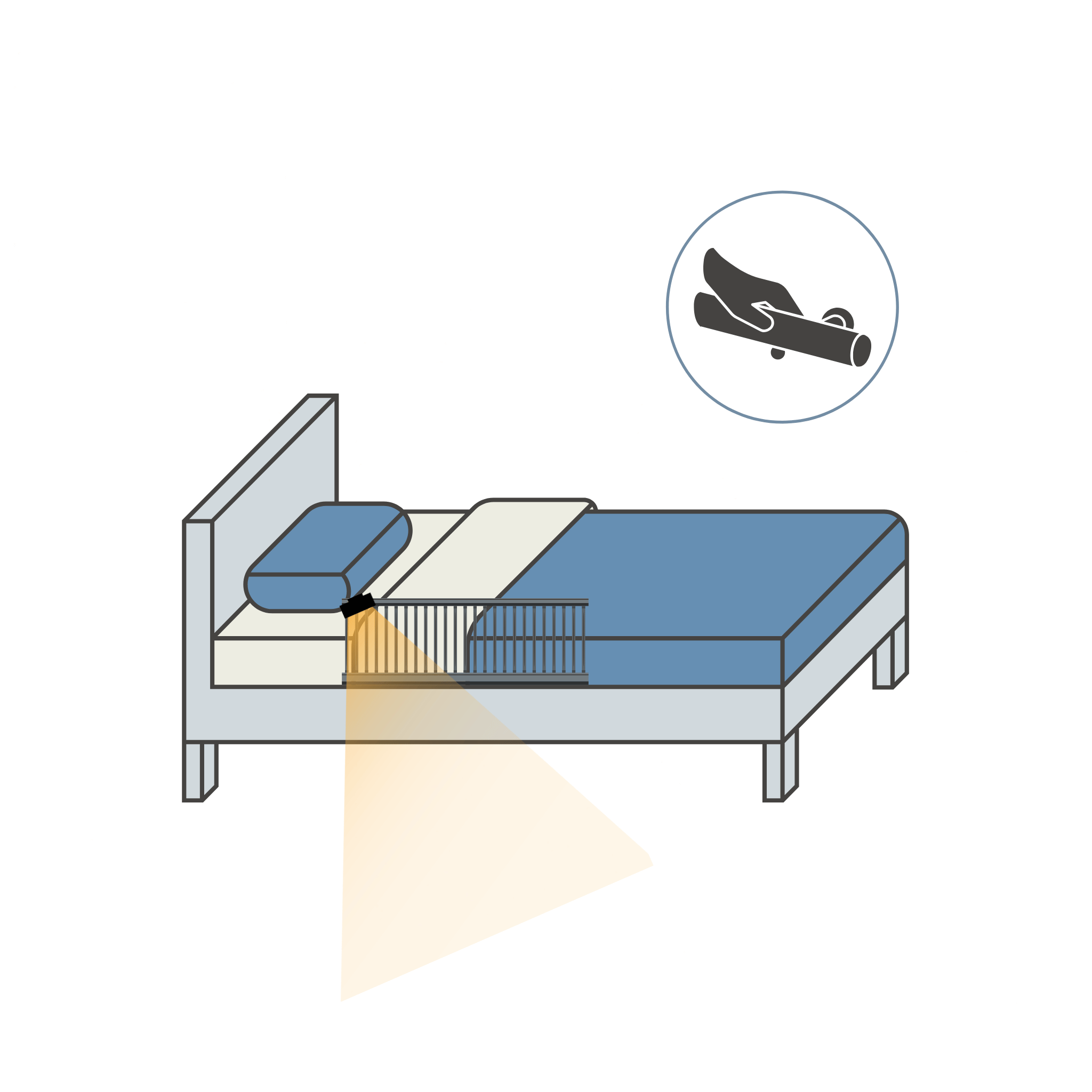 Bed Assist Rail with Motion Light