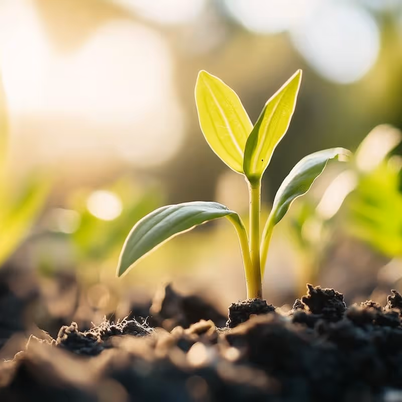 Zero-Waste Catering reduziert Abfall radikal in allen Catering-Phasen. Es transformiert die gesamte Wertschöpfungskette. Unternehmen wählen Zero-Waste Catering für Corporate Events, um Stakeholdern ökologisches und soziales Engagement zu demonstrieren. Dies bildet einen entscheidenden Baustein für eine glaubwürdige ESG-konforme Eventstrategie.