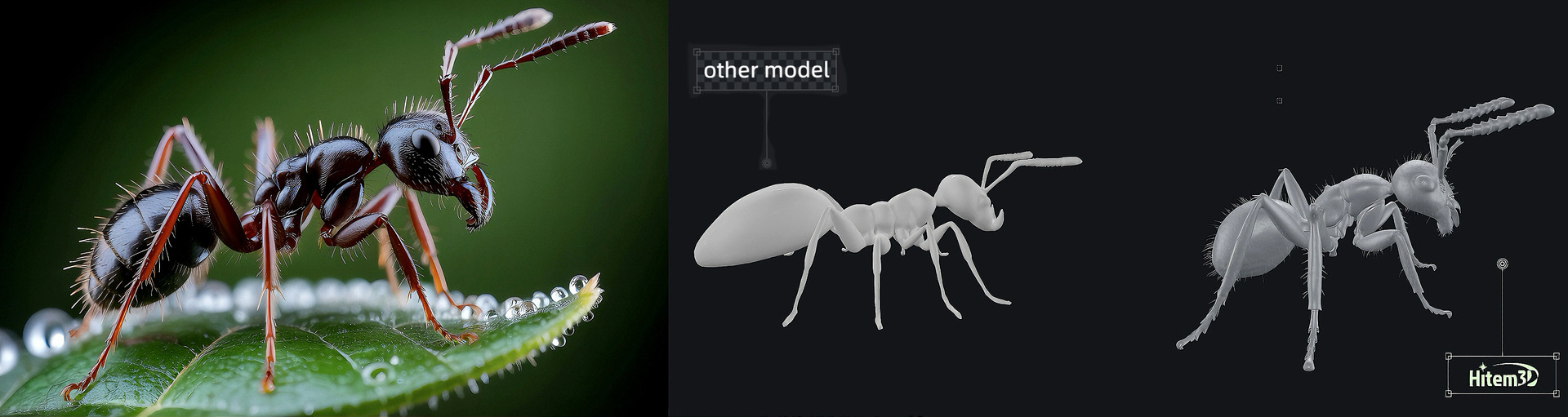 Math Magic Launches Hitem3D, World’s First 1536^3 Ultra-High-Resolution AI 3D Model Generator / Source: Math Magic (EZ Newswire)