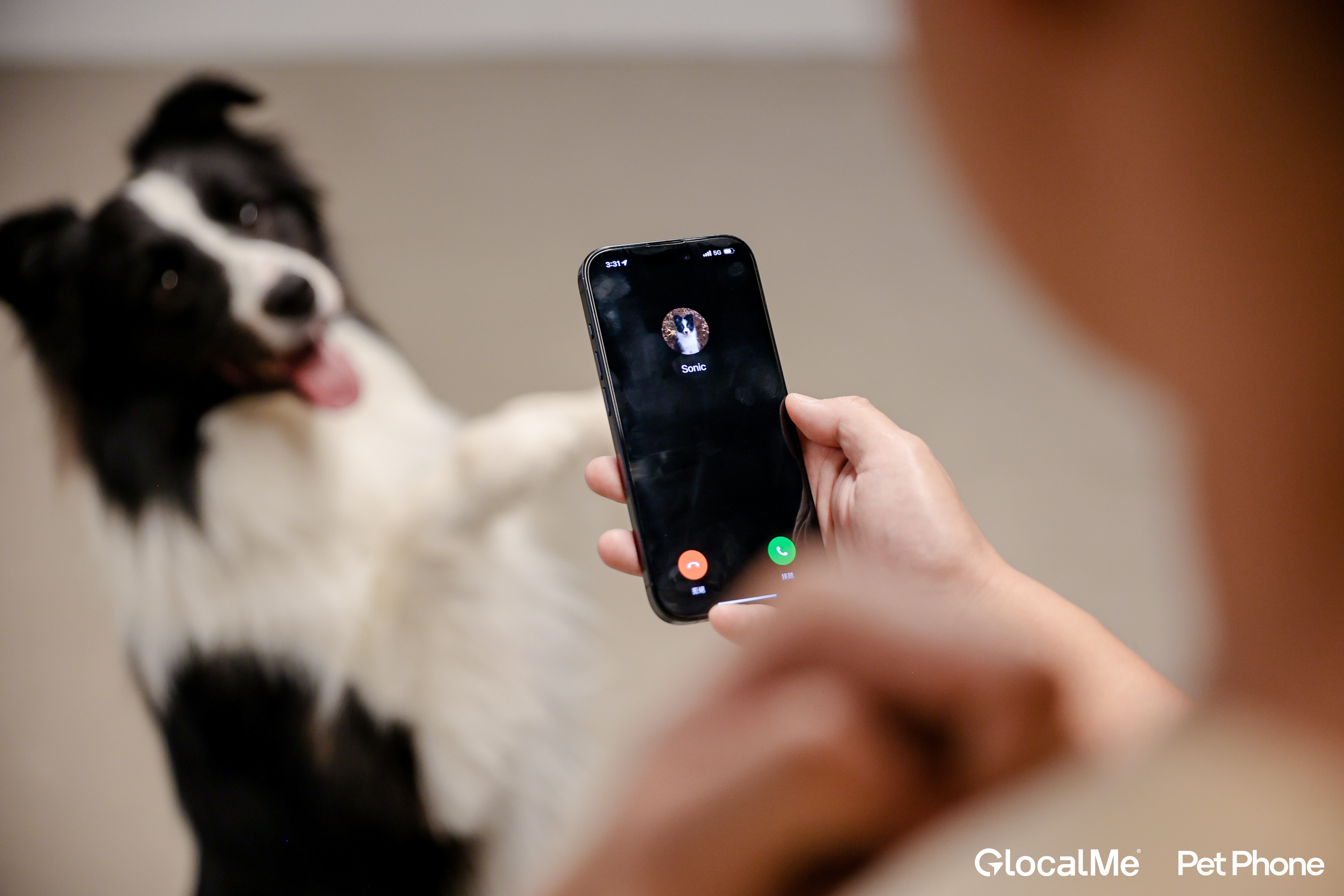 Dog trainer demonstration / Source: GlocalMe (EZ Newswire)
