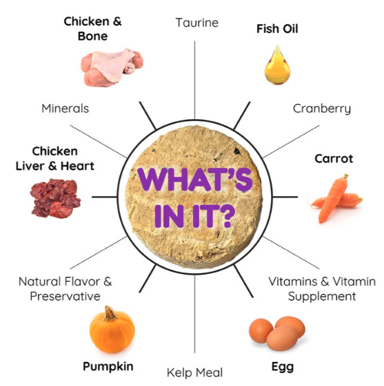 Source: CatCrazy (EZ Newswire)