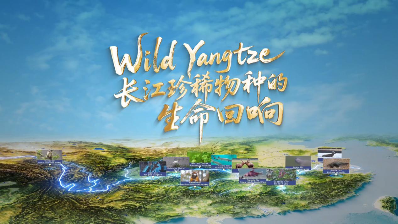 Echoes of Life from the River's Rare Species / Source:  Chinese Society of Prefectural and Municipal Papers (EZ Newswire)