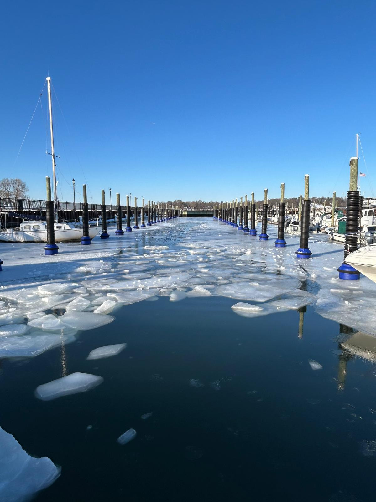 Source: PileMate (EZ Newswire)